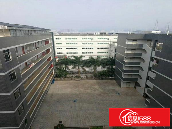 观澜高新区新出一栋7层，每层2000平米出租