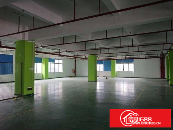 李朗厂房出租五六楼各1700平米带装修