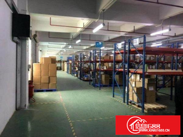 新出原房东独院4800平方证件齐全可办环评