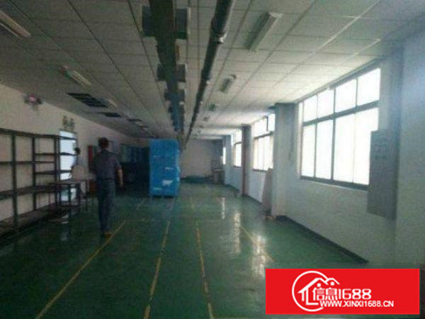 龙岗区横岗标准厂房楼上300平方招租，形象好，全新地坪漆