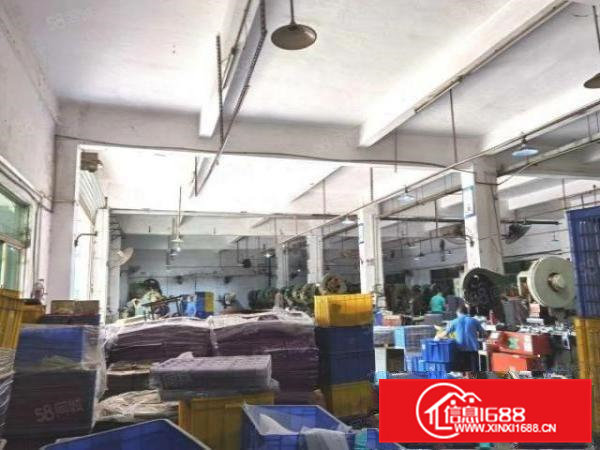 清溪原房东3800平方小独院带装修厂房出租。