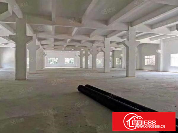 标准经典小独院厂房出租2200平米6.5米高带牛角在清溪