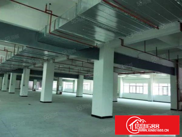 带红本国土证全新标准厂房可办理环评256403栋出租分租