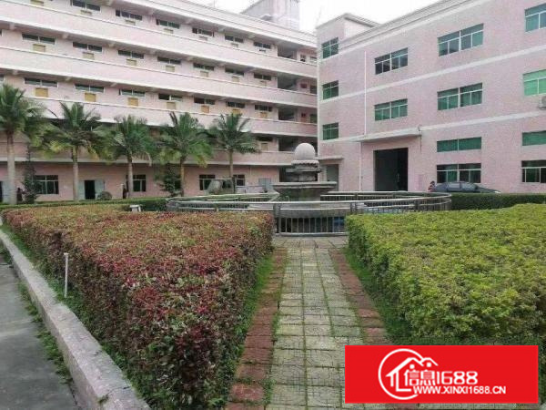 惠东县白花镇成熟工业区1楼1500,3楼1500出租