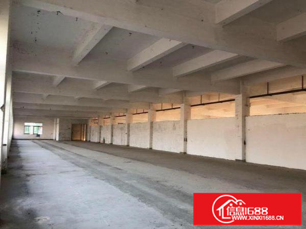 五联独院标准电梯厂房可分租1000平方