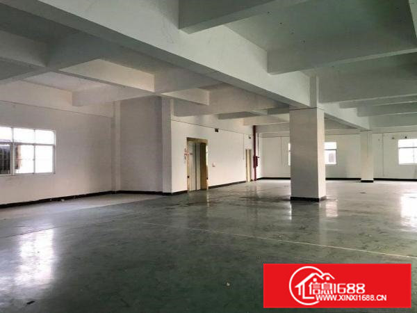 大岭山镇原房东厂房出租