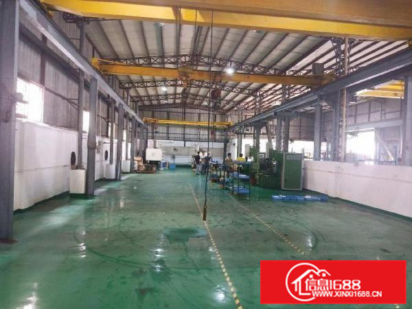 自建单一层厂房分租800平