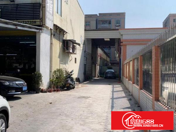 新出独门独院厂房、面积约1300平方、房东直招、中介勿扰！