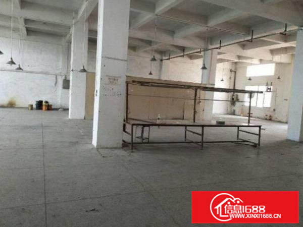 常平岗梓新空出一楼800平方现成办公室