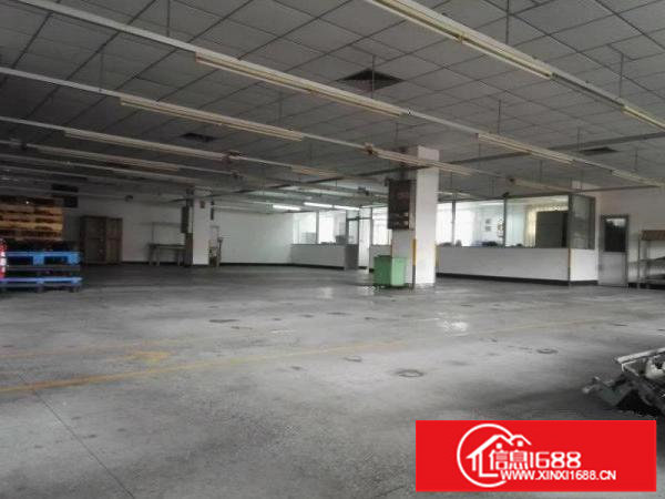 坪山碧岭3楼790平米厂房14元/平米出租