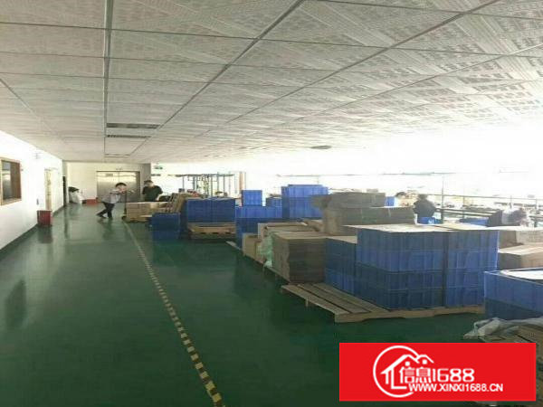 松岗洪桥头新出独院一到三楼各1500平方厂房出租