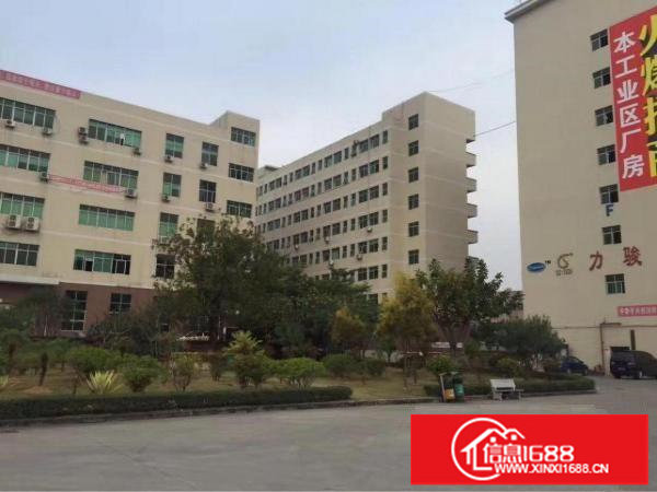 观澜章阁楼上700平标准厂房.报价22