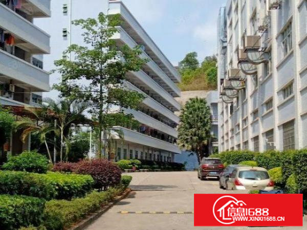 金凤凰新出1200平米电梯厂房带现成办公室装修业主直接出租