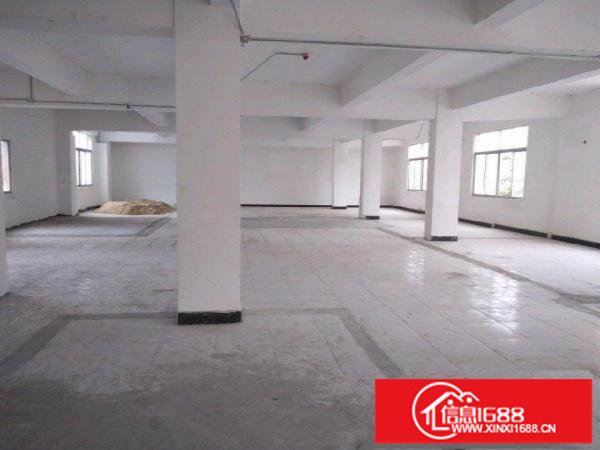 龙岗同乐办公楼800平米大小分租有装修