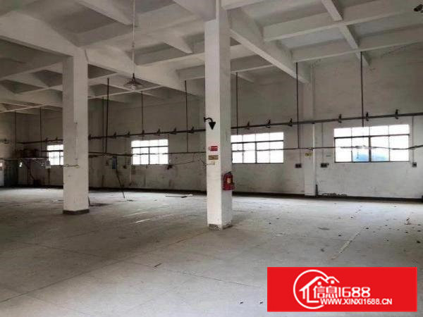 好消息大朗黄草楼新出一楼200平方厂房带现成水电