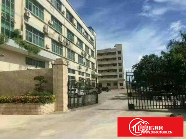 东坑镇新出形象好独门独院9600平豪华装修办公室