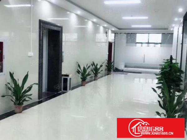 龙华大浪精装修180平精装修办公室，带家私直接领包入住。