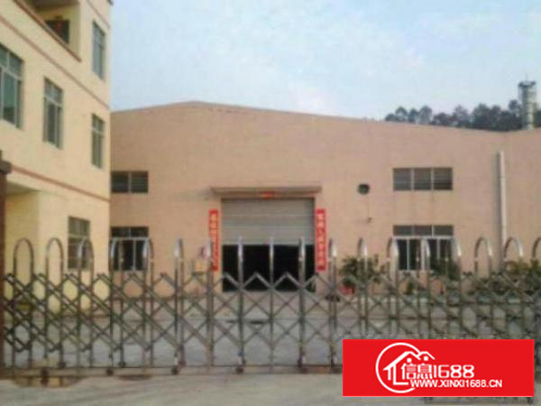 万江滘联单一层钢构2400方厂房仓库出租交通便利;适合做任何