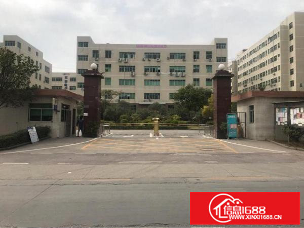 观澜章阁市场附近花园式厂房精装修800平方