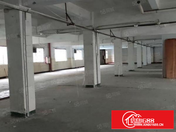 石碣租客分租二楼1100平方独门独院厂房