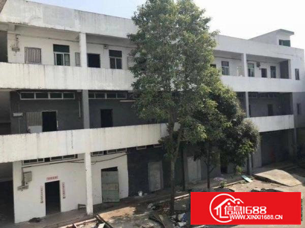 龙岗龙岗大道边上2600平米独院出租