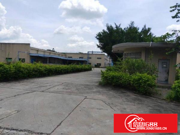 博罗龙溪！万能厂房！排水，气味，噪音来者不惧！周边无居民！