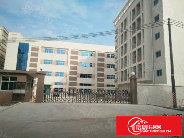 大朗新出一楼1000平方空地大地段优越带装修易招工