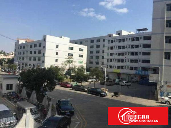 石岩北环路新出楼上900平方带装修厂房出租