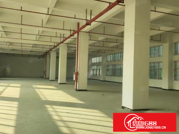 大朗新马莲原房东重工业厂房5000平招租，高度6米，可办环评