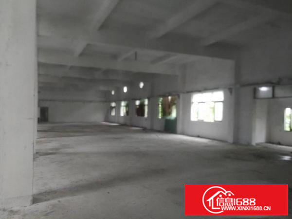 清溪镇浮岗工业区新出单一层独门独院6000平米厂房出租