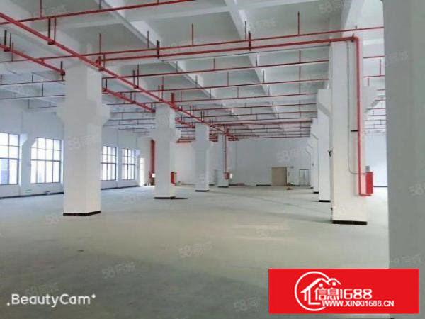 黄江全新一楼1200平厂房出租