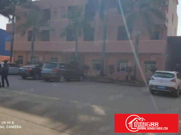 高埗镇新出独门独院单一层5500平方出租环城路外