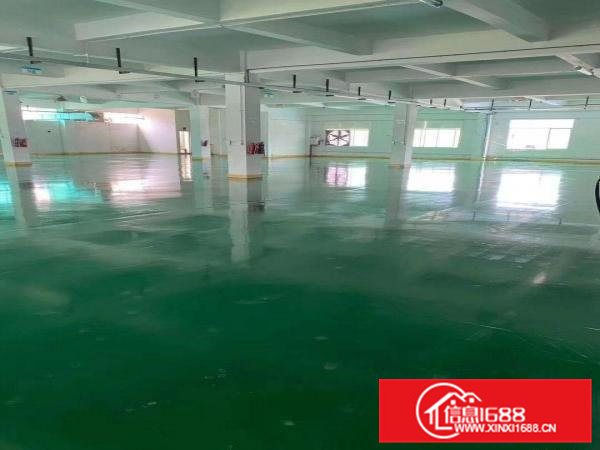 楼上新出带地坪漆厂房出租