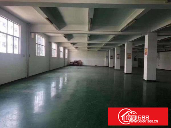 樟洋富竹街工业区原房东独院7200平