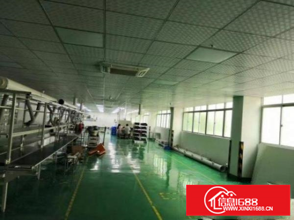 大富工业区2楼1780平方无尘车间600平方