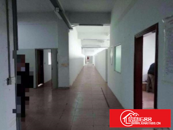 龙岗坪地1000平，单价16，带红本