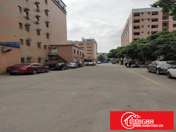 上李朗厂房200平500平1000平2800平大小自由选择