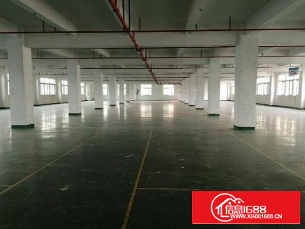 白芒关独栋厂房6000平出租