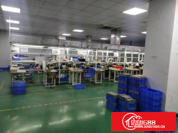 福永新出一精装修带红本带卸货平台的厂房