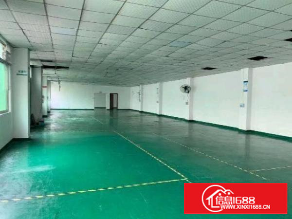 石岩新出楼上带装修办公室厂房425平米招租