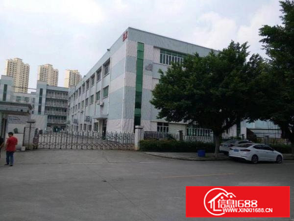 横沥精品3000平方小独院出租