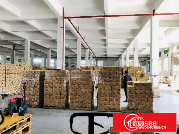 新墟新出7米高标准一楼独院700平起分租，空地5千平免费用