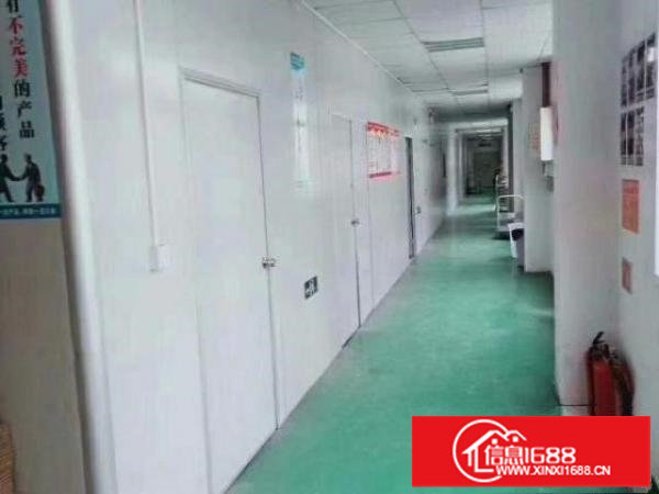 龙岗中心城红本厂房1280平米