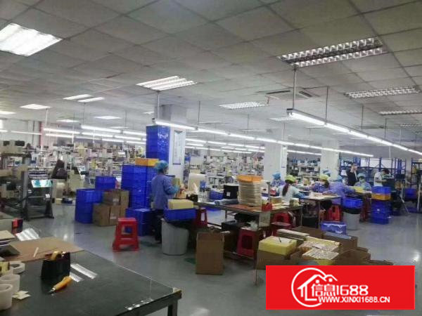 塘厦林村楼上精装修1600平领包入住