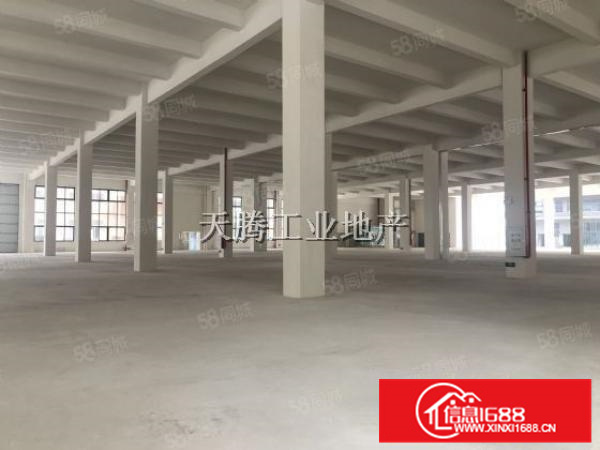 全新厂房出租免中介费配套齐全