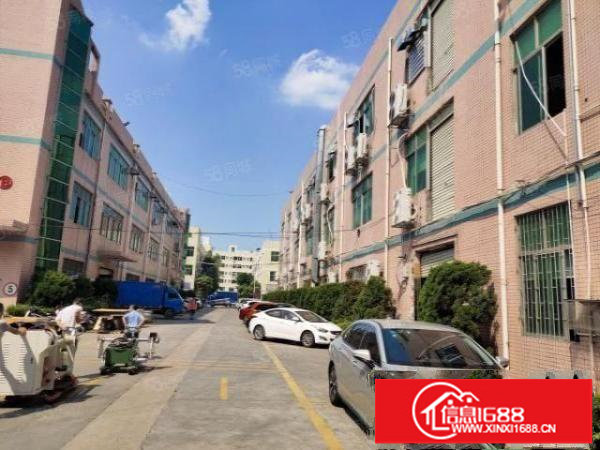 观澜松元轻轨站旁精装带办公室1500平厂房出租