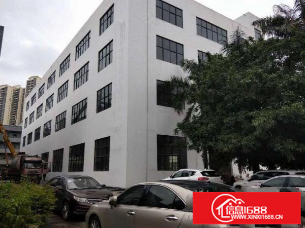 横沥镇新出全新独栋厂房4800平方，带3吨货梯！可分租