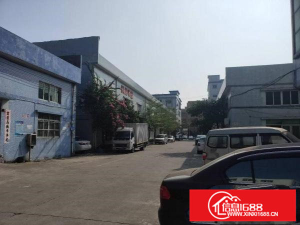 横沥山厦工业区原房东单一层独院2200平方招租，价格实惠