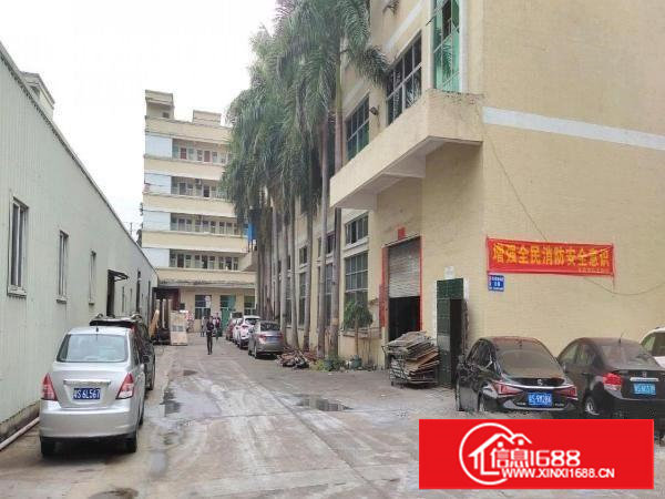 塘厦平山标准厂房一楼