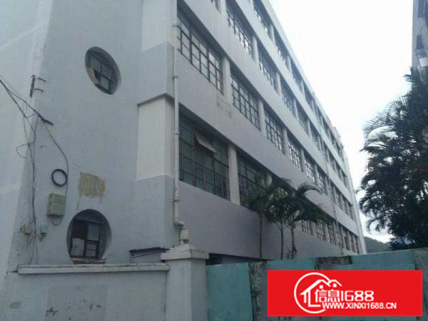 坪山大道南湖现成一楼1350平高5米标准厂房出租